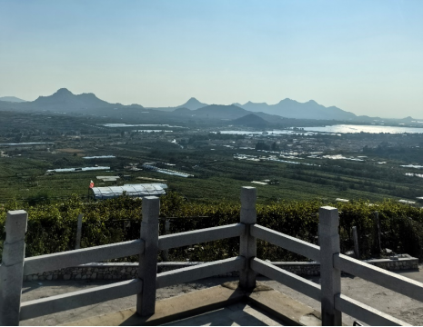 平度大澤山葡萄園引進(jìn)萊恩德土壤肥料檢測(cè)儀， 輕松掌握土壤營(yíng)養(yǎng)